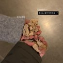 어텀리브스 | 아무리 야근이 내 에너지를 뺏어가도