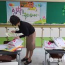상인초 이미지