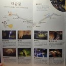 대이리 | 삼척여행 대금굴 자연 그대로 보존된 황홀한 관경 대금굴 예약 필수 예약 방법 환선굴 관람 방법