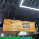 여자만장어 이미지