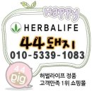 알로엘