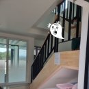 코코베리 키즈풀빌라 이미지