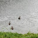 힐링나라 이미지