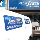페스트캐치 - 남동구 인주대로 857 | 페스트캐치