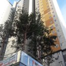 동문세차장 이미지