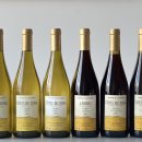 쥐라 레어템 Domaine des Cavarodes (도멘 데 까바호데)에서 단 한 해만 생산한 특별한 샤르도네...