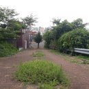 강정동-15 이미지