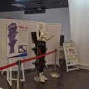 주식회사 다인5