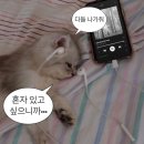 가출 네이버블로그