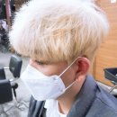 화이트헤어칼라 이미지