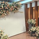 디자인셀럽 이미지