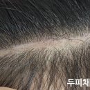 도트바이림 이미지