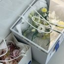 쿠담플라워