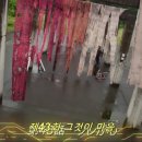 아크원 이미지