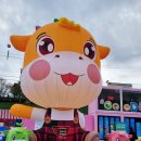 민속운동장(제26주구) | [제21회 횡성한우축제 후기] 살치살 2++9?! 이건 진짜 못 참지🔥