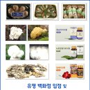 로하스팜 이미지