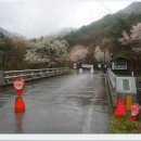 충청도양반길(3코스) 이미지