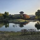 금학동 도시계획도로(수원지) | 수 원 화 성 억 새 (화 홍 문)