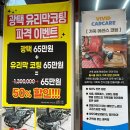 비비드프로카케어 이미지