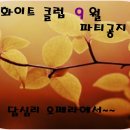 화이트클럽 이미지