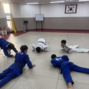 용인대스포츠클럽(용인대유도관) 이미지