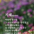 (주)지혜 이미지