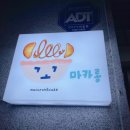 꼬마카롱 이미지