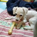 경남화이트 이미지