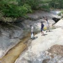 대성사슴농장 이미지