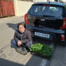 제일이용소 이미지