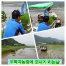 복자농장 네이버블로그