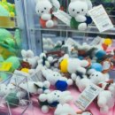 강동뽑기방 이미지