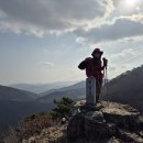철마산서봉 Daum카페