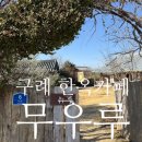 대청인력 | 구례카페 무우루 능소화 고양이 한옥카페 주차 웨이팅 내돈내산 후기