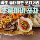 초롱이네 | 속초 등대해변 포차거리 초롱이네포차