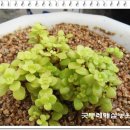 이색체험마을 이미지
