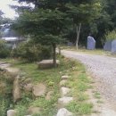 돌마초등길 이미지