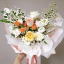 케이플로라 이미지