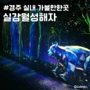 경주 실내 가볼만한곳 실감월성해자 숭문대 황리단길 근처 무료 전시