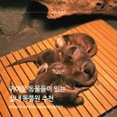 [경기도아이와가볼만한곳] 많은 동물들이 살고 있는 실내 동물원|주차장, 입장료, 솔직후기