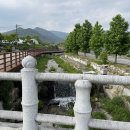 원학고가 | 대구근교 거창 가볼만한곳 황산마을 한옥마을 소원 들어주는 안정좌 나무 소원빌기