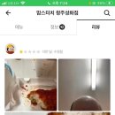 맘스터치 성화점