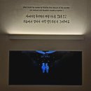 허*익 | [DDP 전시회] 웃으러 갔다가 울고 나온 '키크니 특별전' 솔직 후기 (ft. 선글라스 필수 / 스포주의!)