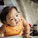 노란코끼리 미니