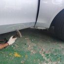 명성자동차정비공업사 이미지