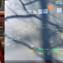 화목길 티스토리