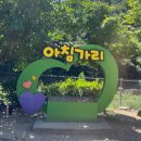 국민여가캠핑장 | 아침가리계곡 트레킹 가려다 캠핑으로 변경! 인제 진동리 국민여가캠핑장 솔직 후기
