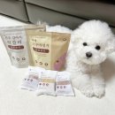 그냥집밥 | 강아지 특식 집밥프로젝트 자색고구마설기 전주떡갈비 토핑 화식 후기