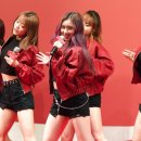 엘리 이미지