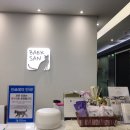 백산동물병원 - 여주시 청심로 99 | 고양이 전문 병원 / 백산 동물병원 1차 예방접종 후기